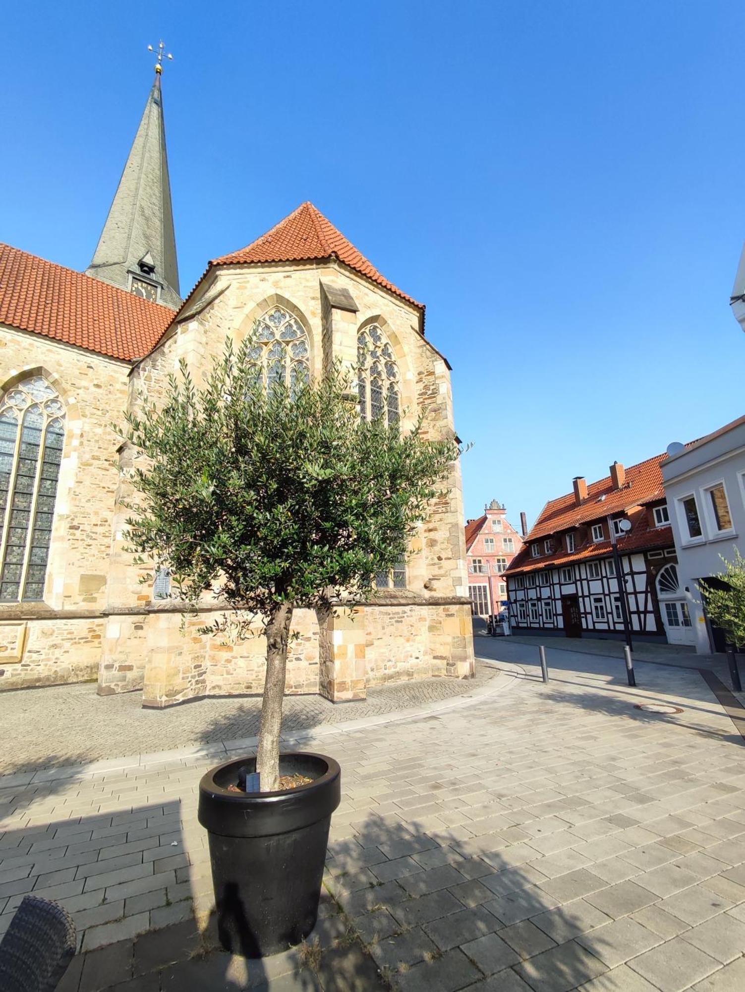 'Bright 1' Innenstadtlage, Ruhige, Schoene, Helle 3Zkb Wlan Херфорд Экстерьер фото